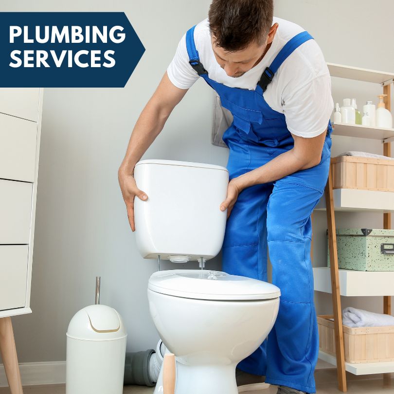 Plumbing Company in Modesto, IL
